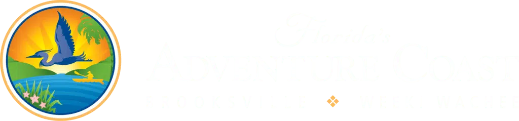 light logo