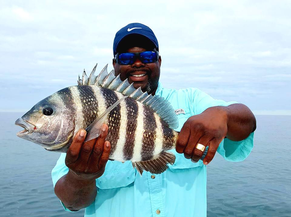 White Bass - Bass Fishing Florida