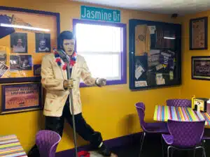 Coney Island Elvis