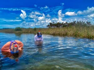 Kayaking on Florida's Adventure Coast