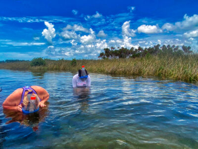 Kayaking on Florida's Adventure Coast