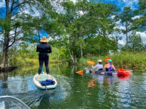 A woman on a stand-up-paddleboard and two people in a clear kayak paddle away from the viewer. The river is reflective and surrounded by lush greenery.