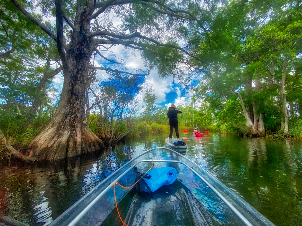 Kayak through a quiet estuary on Florida's Adventure Coast