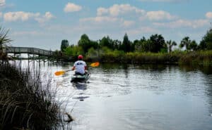 Jenkins Creek paddling