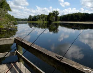 Lake Townsen fishing