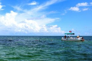 swimming in the gulf