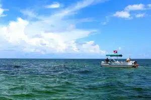 swimming in the gulf