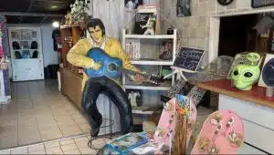 Elvis at Boyette's Grove