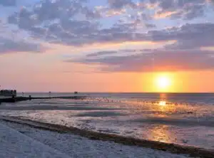 Pine Island Sunset