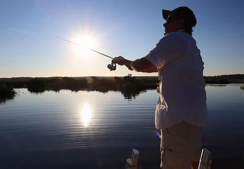 Father's Day Fun on Florida's Adventure Coast - Florida's Adventure Coast