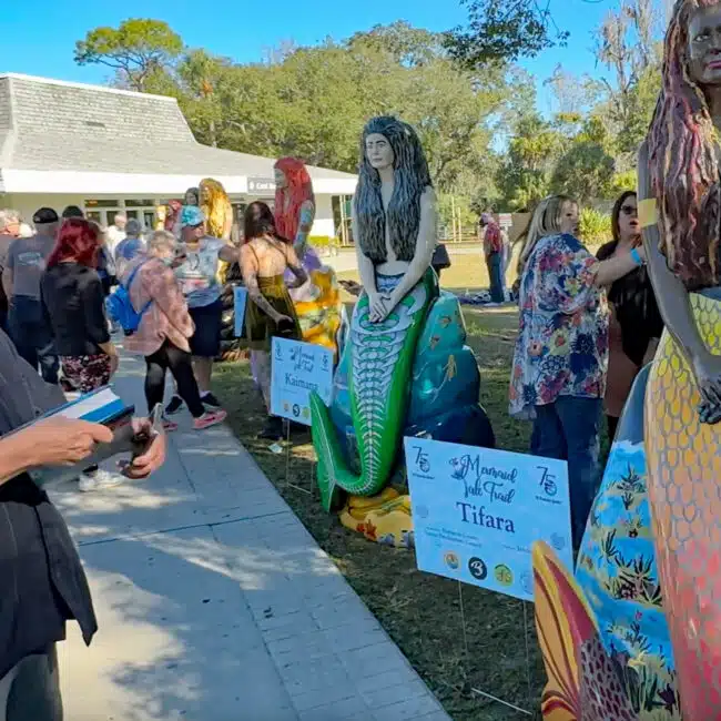 A man views one of the mermaid statues during the unveiling of The Mermaid Tale Trail