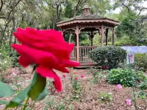 Nature Coast Botanical Gardens