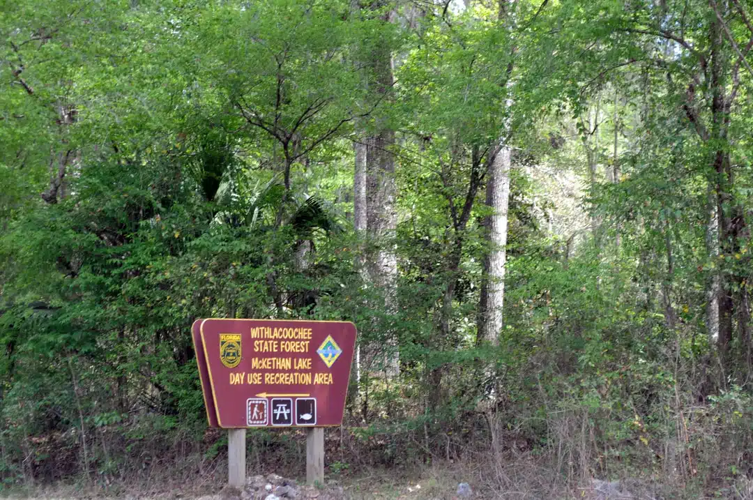 A wooden trail sign reads 'Withlacoochee State Forest, McKethan Lake Day Use Recreation Area" in a wooded area with dense green foliage