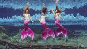 Three women in pink mermaid tails smilling underwater at Weeki Wachee Springs State Park