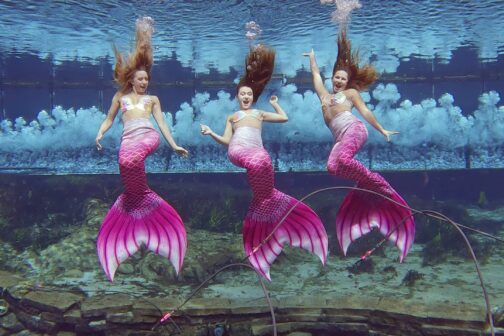 picture of Mermaids performing underwater at Weeki Wachee