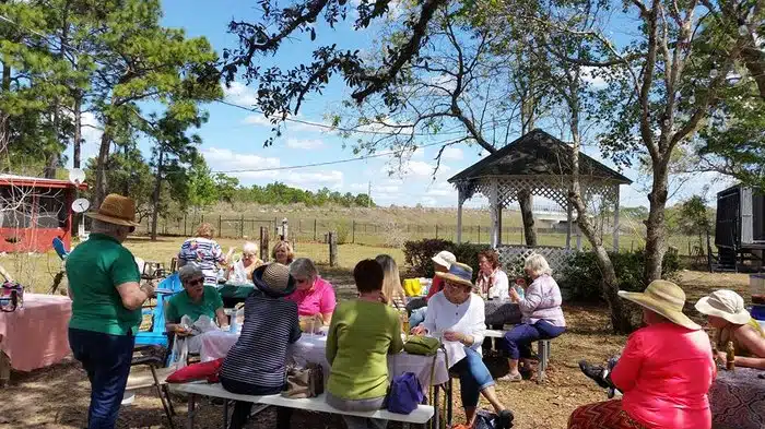 An outdoor space with trees and picnic benches where people are gathers. Located at The Olive Grove