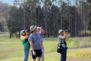 birding at peck sink