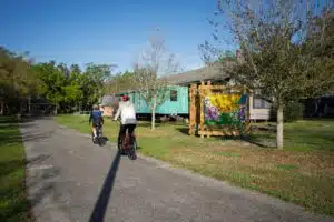cycling the gnt