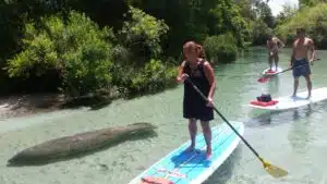 stand up paddleboarding
