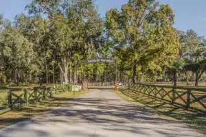 farm of dreams entry