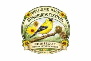 songbird fest logo