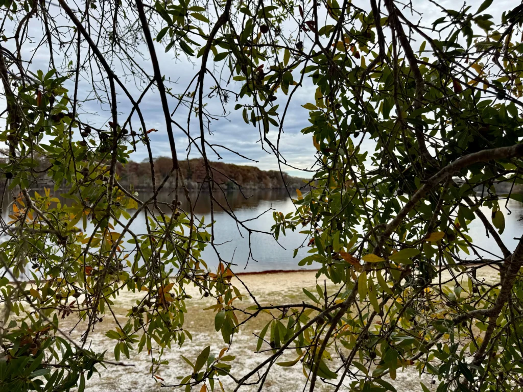 Silver Lake Recreation Area