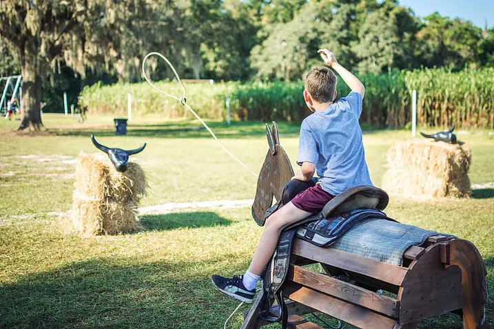 Harvestmoon Fun Farm