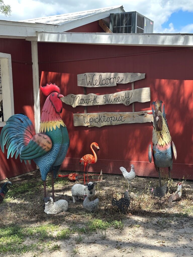 Susie’s Kitchen at Masaryk Winery